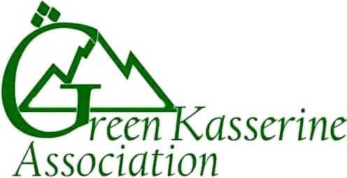 Logo de Green Kasserine